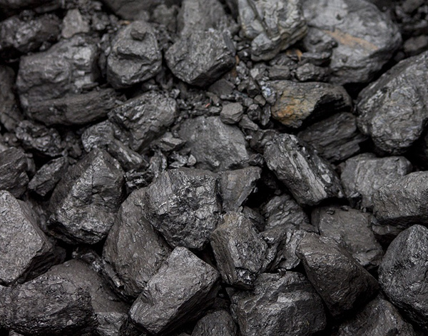 Coal